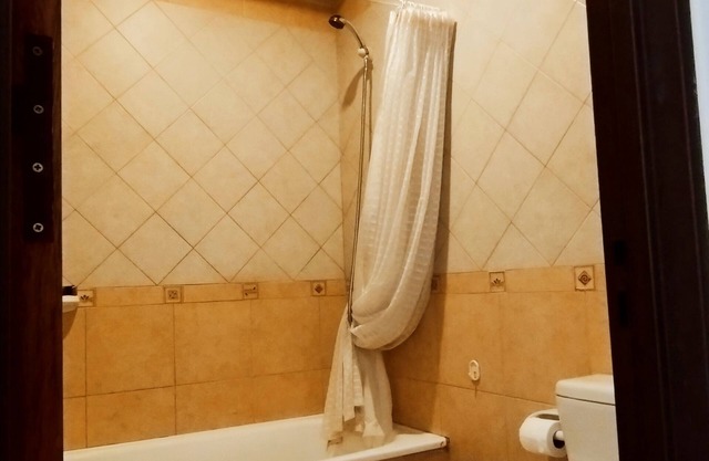 Departamento Centro Mendoza