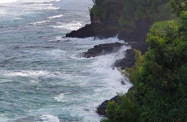 Mesmerizing ocean view -Hawaiiana Style walkout unit