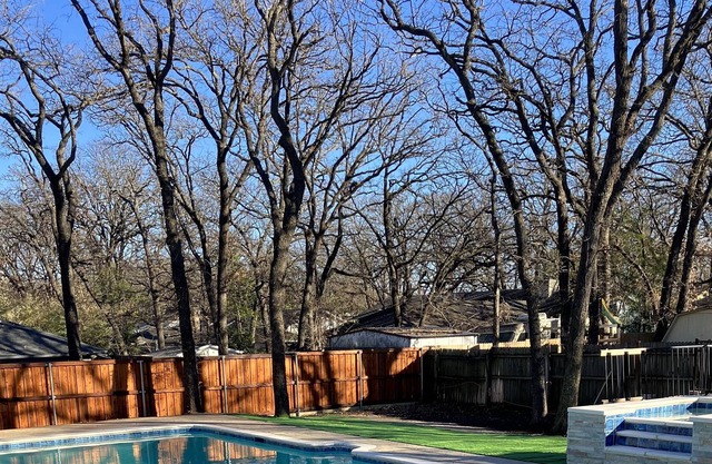 Mid City Oasis