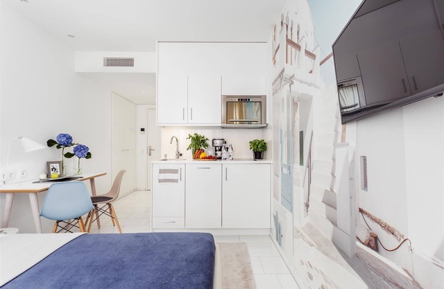 Mini Studio Apartment