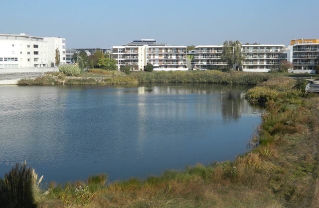 Estudio mínimo con piscina y garaje, clasificado 2 estrellas.