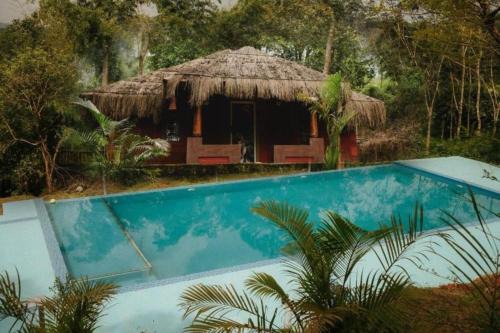 Misty Night Wayanad Pool Resort