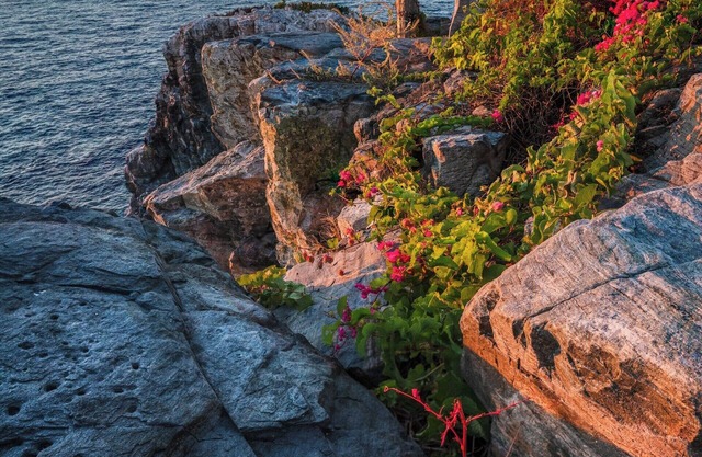 Modern design and a European soul in Pleasanton, CA