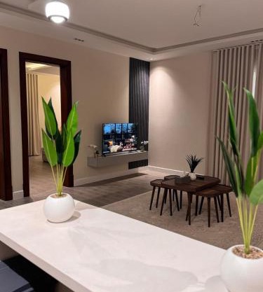 Modern Stylish and Entry Smart Apartment