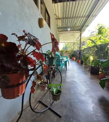 Monos Titi Third Floor