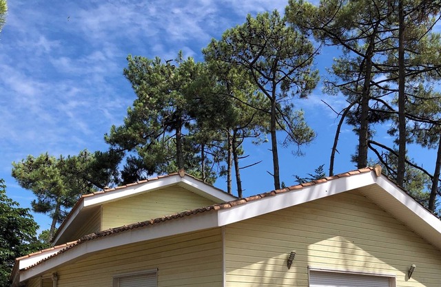 Montalivet: casa / villa - MONTALIVET
