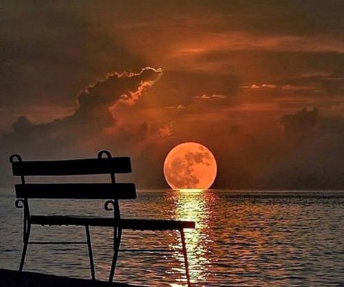 Moon Light Guest House