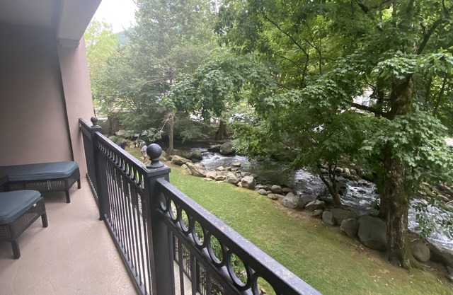 BEAUTIFUL ROARING FORK CREEK CONDO, 1ST FLOOR, NOW AVAIL 6-14/6-24-WALK TO GBURG