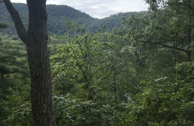 Mtn. Escapada: cierre el Blue Ridge Pkwy (1)