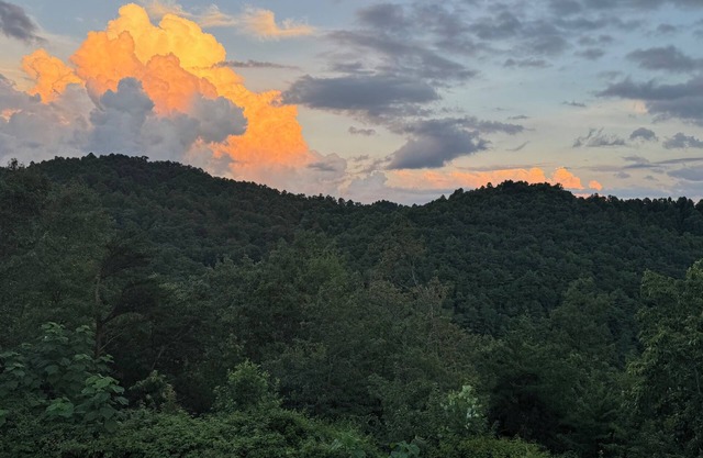 💦Pool -Mtn Views⛰️Dog Friendly🐕 2 King Beds-Coffee/Tea Bar 🔥Fire Pit
