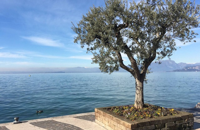 My Peschiera Family Home XL