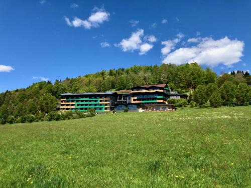 Natura Hotel Bodenmais - inkl Soft- und Heißgetränkeflat