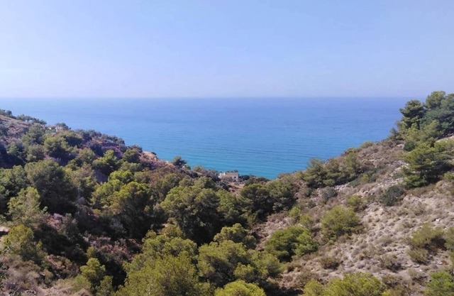 Mirador del Cañuelo, naturaleza y increíbles vistas al mar