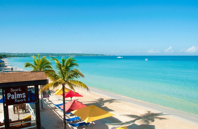 Negril Palms