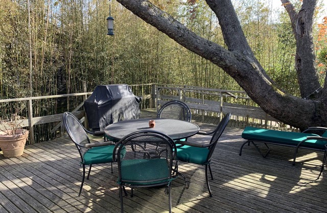NEW Listing! Light filled cozy cottage just minutes from everything!