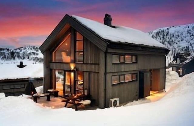 New cabin ski in/out, fireplace & mountain view
