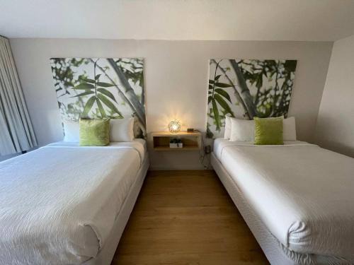 Newly renovated room in cozy hotel near Disney 2