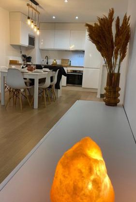 Nice and cosy flat near Geneva or Annecy