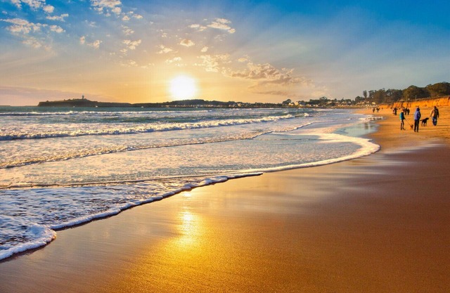 Miramar Beach Inicio | A pie de playa, senderos, restaurantes, actividades familiares