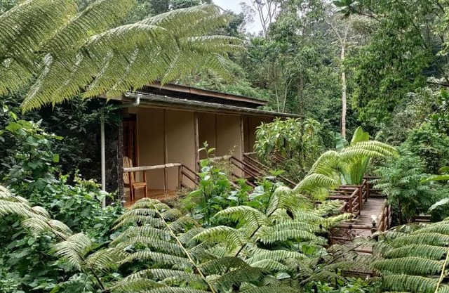 Nshongi Camp