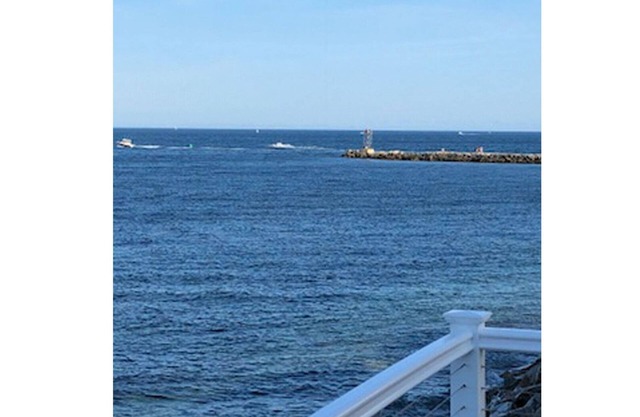 Ocean Dreams, Waves por lo que los ojos pueden ver ...........