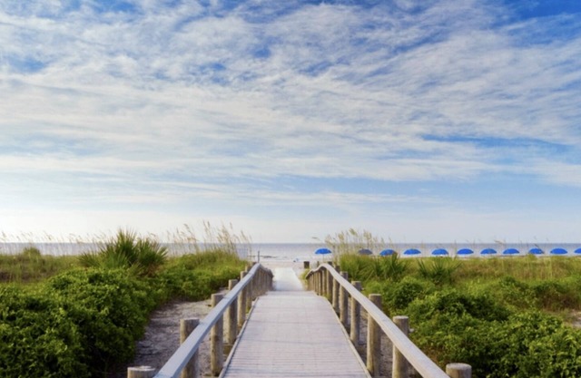 Ocean View! Remodeled! Just Steps to the Beach, large pool and Bar. Gated resort