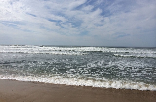 Twin Pond Ocean Front Cottage con pase de playa