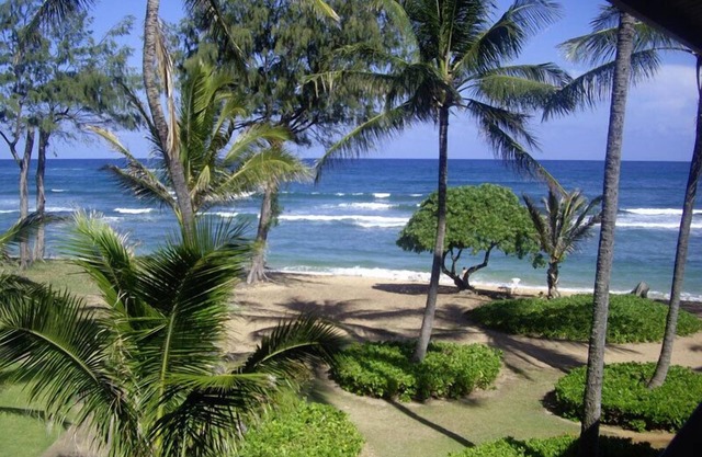 Oceanview Top Floor Studio | Islander on the Beach 361