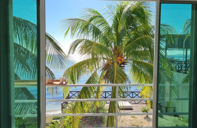 On very private beach, top views apartment with a small reef and coconut trees