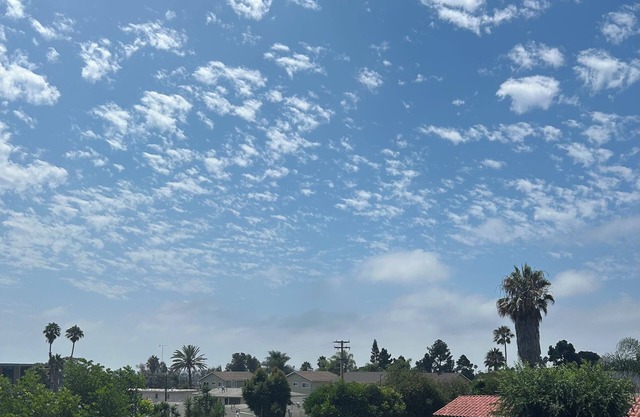 On the bay & by the beach apartment in sunny San Diego!