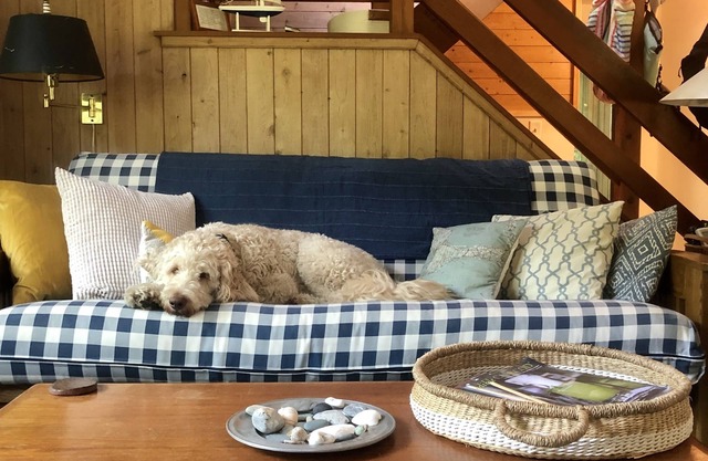 Nuestro hogar de Cape Cod que admite mascotas lejos de casa