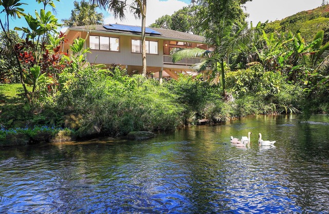 ♥ River Estate Guest House ♥ Riverfront ♥ A / C ♥ Romántico ♥ Privado ♥ Tranquilo ♥ TVNC 5132
