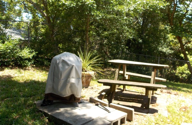 Palm Cottage- Asequible Ocean Side Cottage