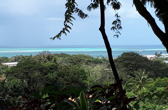 Palm Tree Apartment, Sea view, Close to beaches, Ideal for families Full kitchen