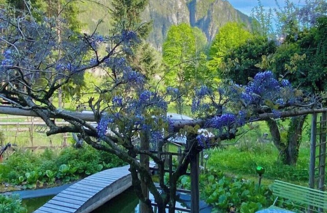 Casa de campo de Paola - Vanoi Primiero Dolomiti Trentino