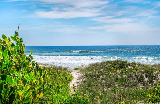 "Paperbark" - hosted by North Coast Lifestyle Properties
