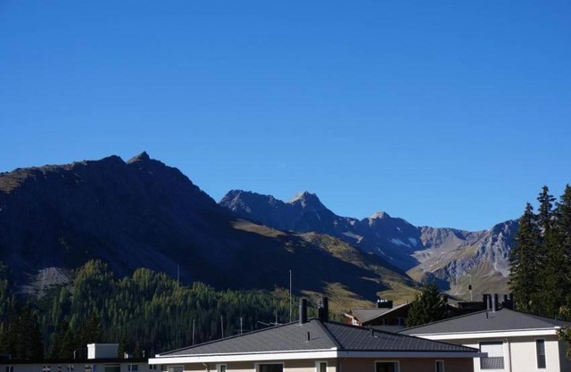 Paradies 411