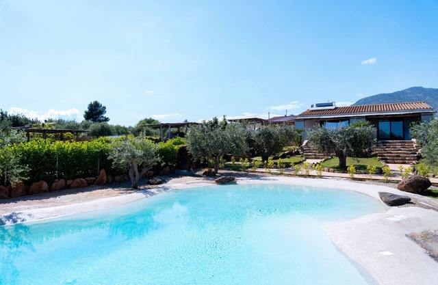 Il Paradiso degli Ulivi (A)