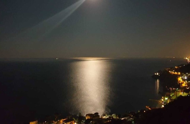 Paz entre los olivos y el mar