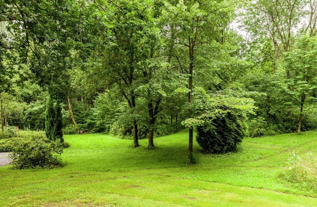 Apartment in Ardennes Near River Ourthe