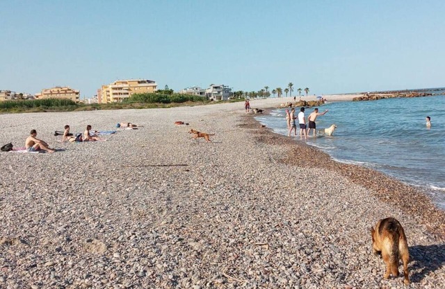 Pensión Benavente. 2 - (Playa 1,5km / AP7-3min)