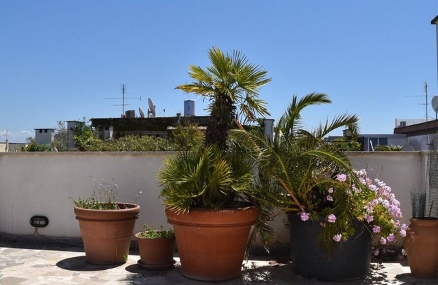 Ático con terraza panorámica en Ostia