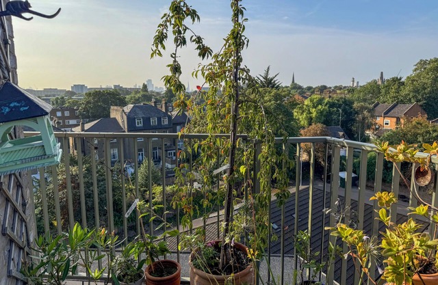 Penthouse with wraparound balcony - amazing light and views of London