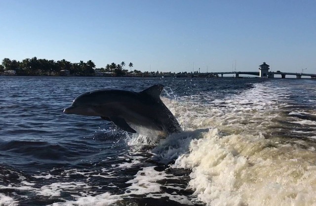 Pet-Friendly / Family-Friendly Waterfront Vacation Rental + Free Boat Dockage!