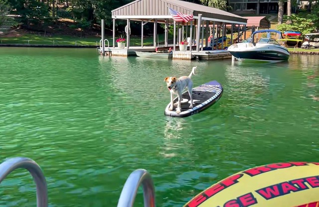 Relaxing lakefront escape with hot tub, dog-friendly fenced yard, dock & kayaks