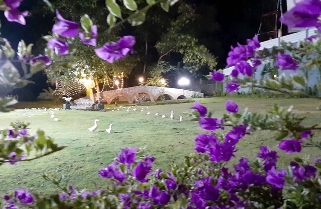 Phuket Nonnita Boutique Resort