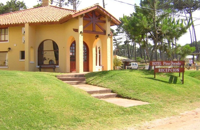 Pino Dorado