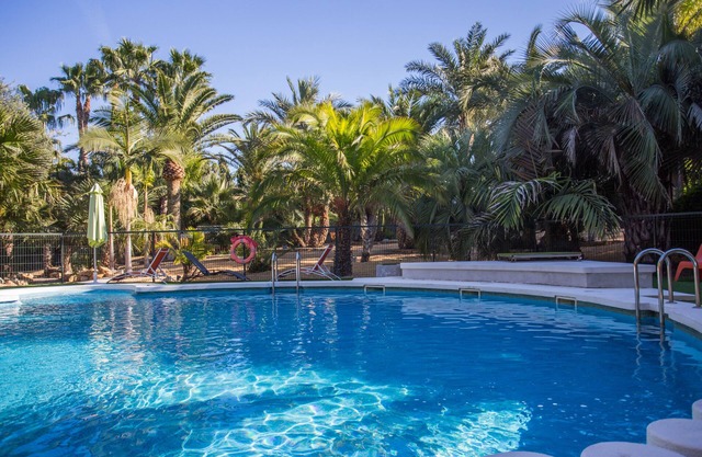 Piscina y Jacuzzi rodeados de palmeras, tranquilidad y aire libre