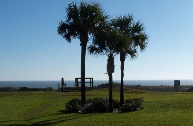¡Excelentes tarifas disponibles en agosto! Amelia Island Condo en Summer Beach!