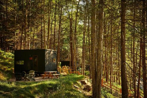 Postcard Cabins Gilchrist Springs